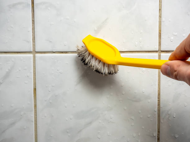 Best Affordable Mold Removal  in Greenville, AL