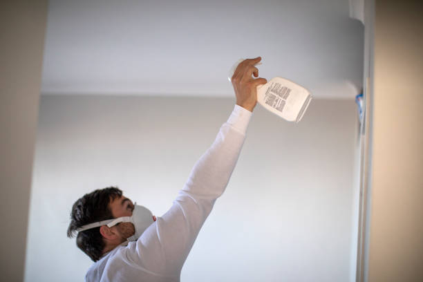 Best Commercial Mold Removal  in Greenville, AL