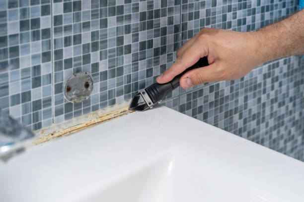 Mold Removal and Inspection in Greenville, AL
